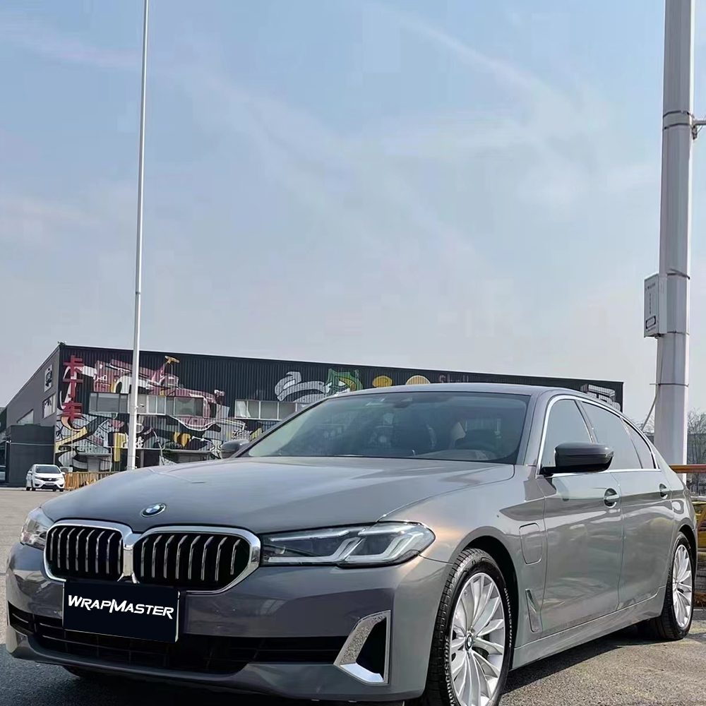 PET Backing Paint Protection S - Metallic Spray Paint 评论和价格